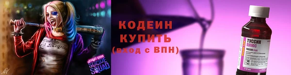 СК Каменка