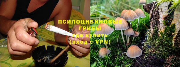 COCAINE Каменск-Шахтинский